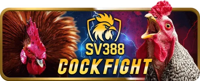 Tích lũy điểm VIP f368